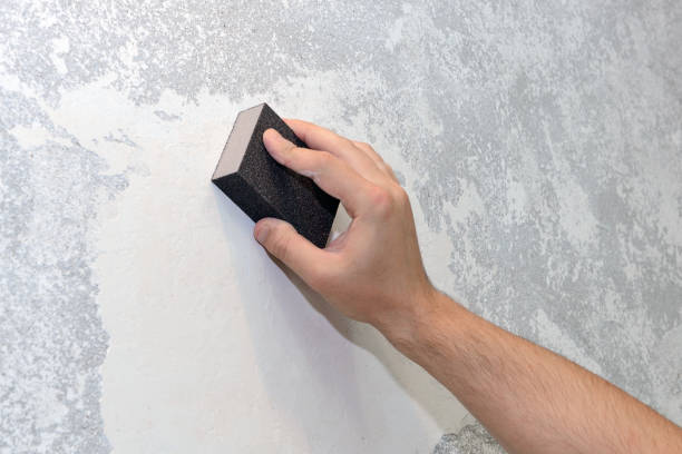 Best Basement Mold Removal  in Rigby, ID