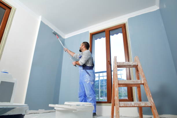 Best Mold Damage Restoration  in Rigby, ID