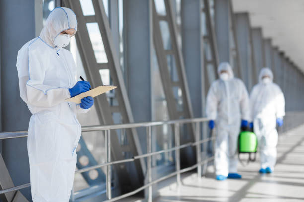 Biohazard Mold Removal in Rigby, ID