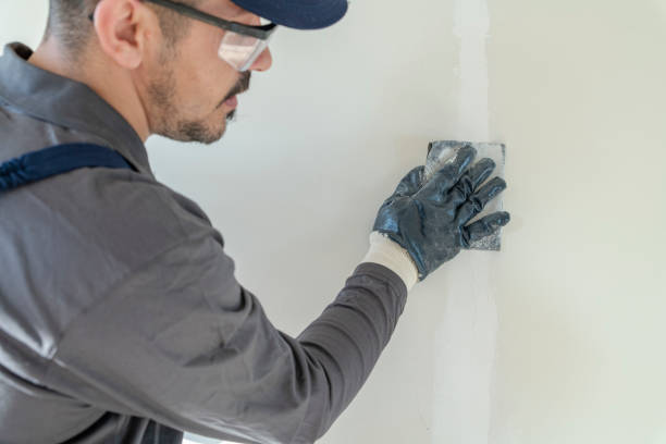 Best Environmental Consulting for Mold Prevention  in Rigby, ID