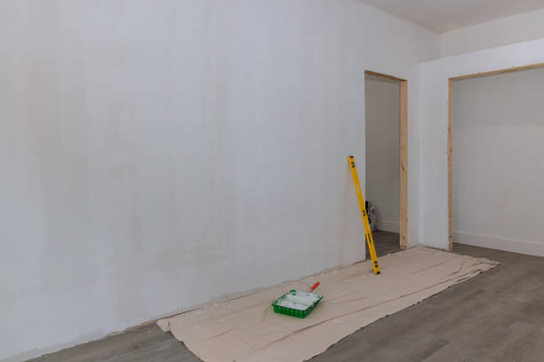 Best Black Mold Removal  in Rigby, ID