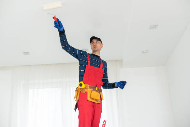 Rigby, ID Mold Removal Company