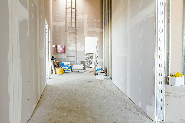 Best Emergency Mold Remediation  in Rigby, ID