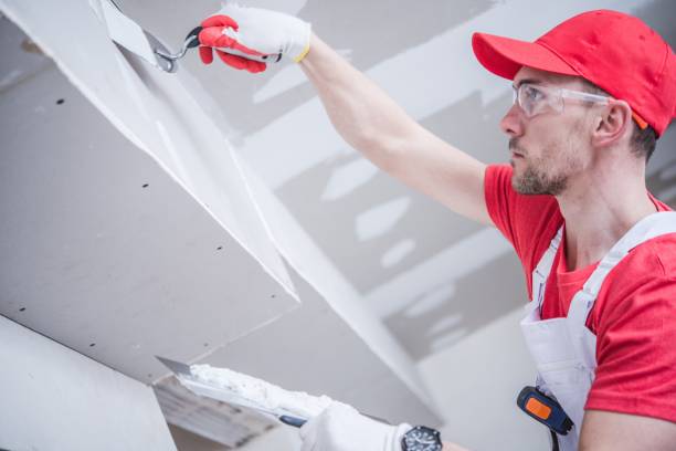 Best Mold Odor Removal Services  in Rigby, ID